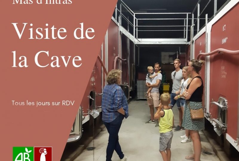 Wine gaming : jeu d’enquête sur les vins bio du Mas d’Intras à Valvignères - 8