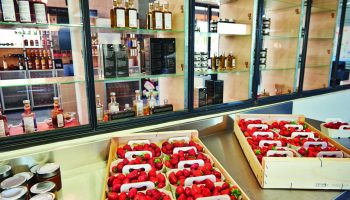 Production confiture de fraises Aix&terra
