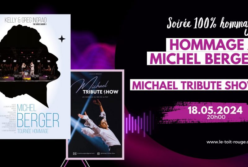 Concert : hommage à Michel Berger et Michael Tribute Show à Montélimar - 0