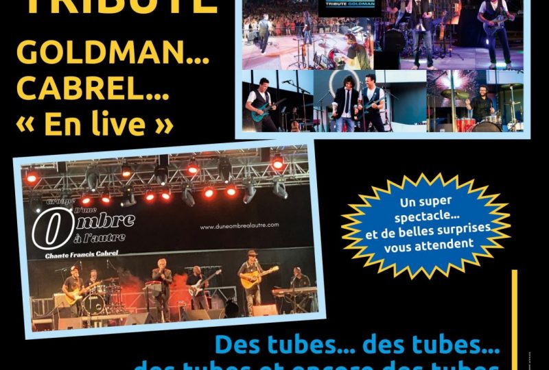 Festival Tribute Goldman/Cabrel en live à Montélimar - 0