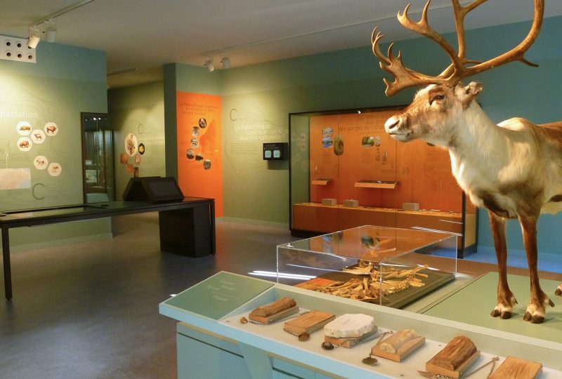 Visite guidée Préhistoire au sein du musée de l’Aven d’Orgnac Grand Site de France à Orgnac-l'Aven - 3
