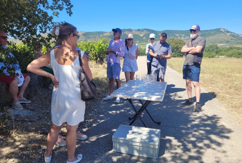 Visite avec le caveau des vignerons à Alba-la-Romaine - 0